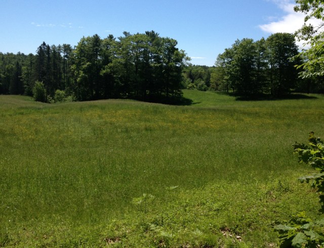 MitchellLedge_Image10