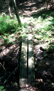 MitchellLedge_Image8