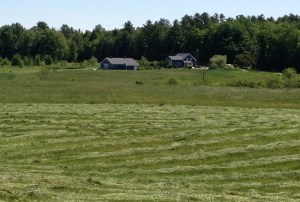 The Original Farmhouse