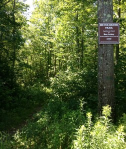 SilverBrookTrail