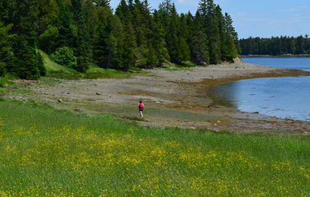 Tide Mill Organic Farm, Photo Rick Chalmers
