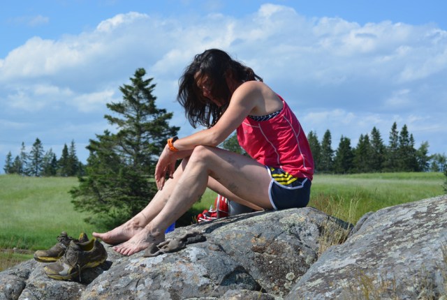 Tide Mill Farm, Photo Rick Chalmers