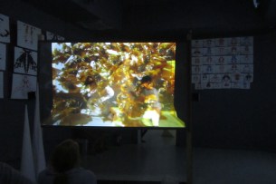 United States Pavilion 1