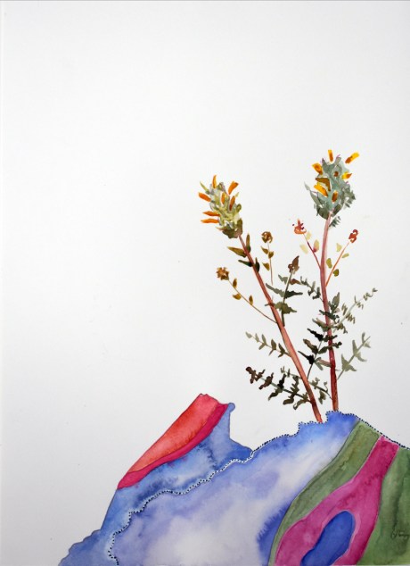 lousewortandbedrocksm